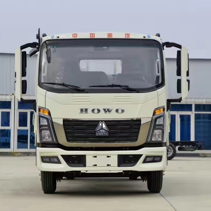 Howo 4x2 3T Cargo Lorry Truck for Algeria 4 