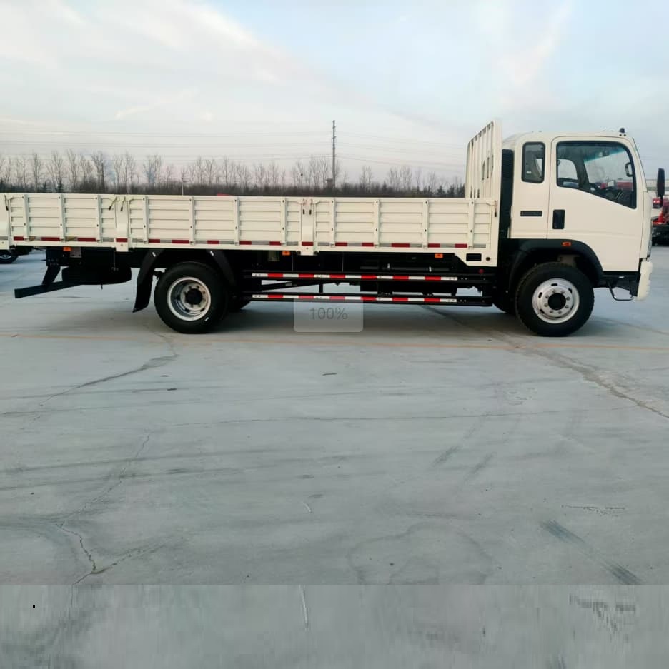 Howo 4x2 3T 5T ​​Châssis de cargaison