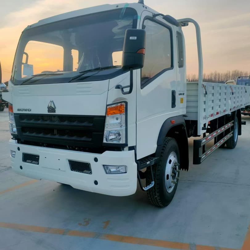 Howo 4x2 3T 5T ​​Châssis de cargaison