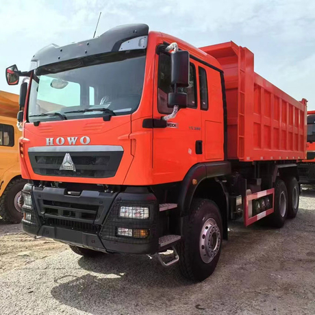 SINOTRUK TX 6X4 25T Tipper Truck in Algeria 4.jpg
