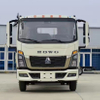 HOWO 4X2 3T Camion Cargo pour l'Algérie