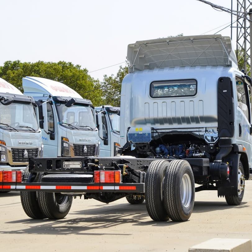 HOWO 4X2 3T Camion Cargo pour l'Algérie