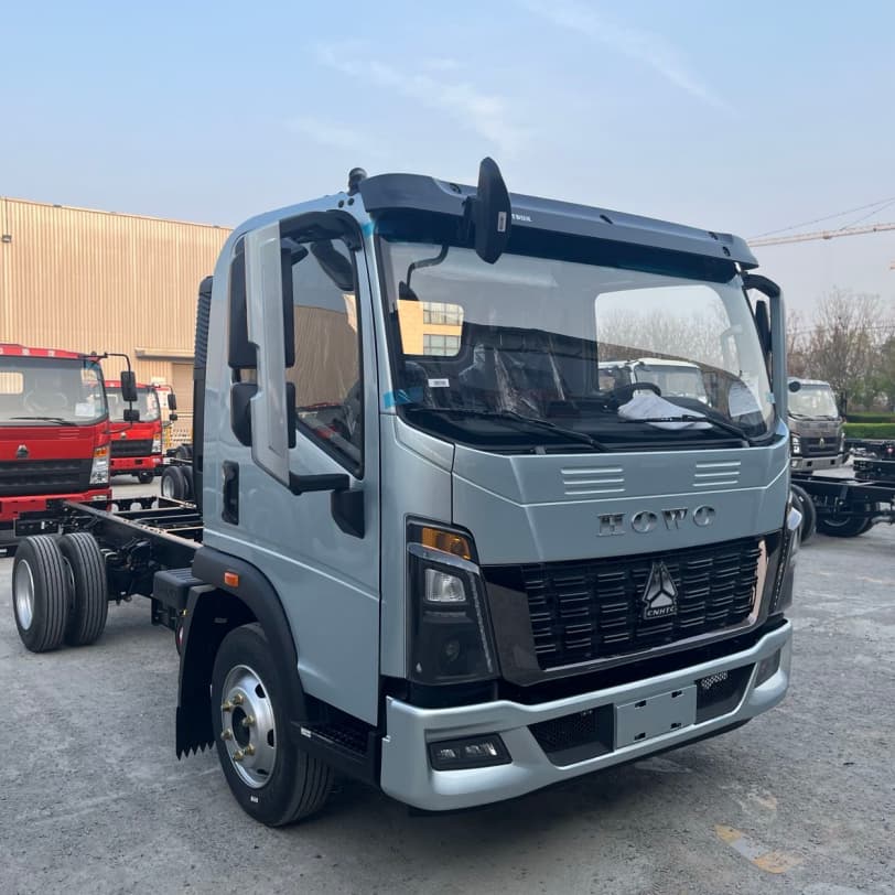 Howo 4x2 3T Cargo Camiry Truck for Algeria 3 