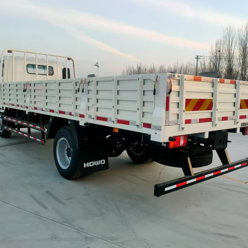 Howo 4x2 3T 5T ​​Châssis de cargaison